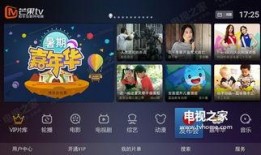 坚果品鉴爆料视频,视频爆料带你领略美味坚果的魅力