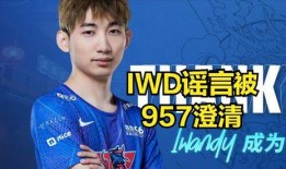 鸟叔直播爆料回放最新,最新爆料回放精彩瞬间